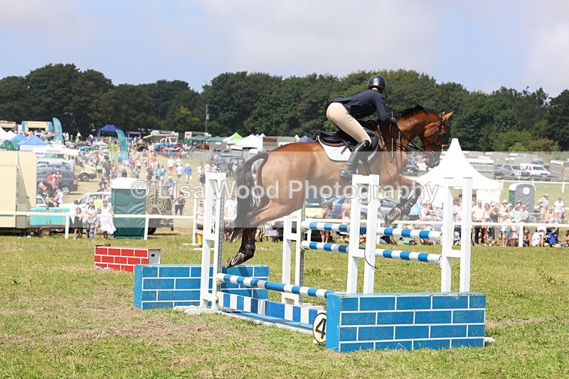 3E7A3420 - Class 10: Senior Foxhunter/1.20 open