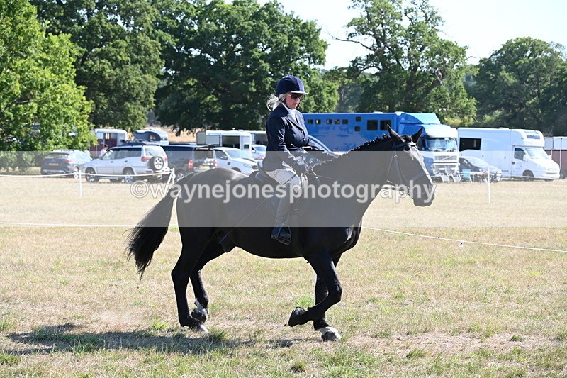 WJ6_7467 - Class 34 Judges Choice