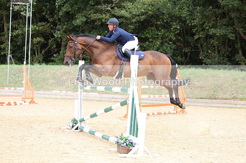 3E7A6576 - Class 9: Senior Foxhunter/1.20 open