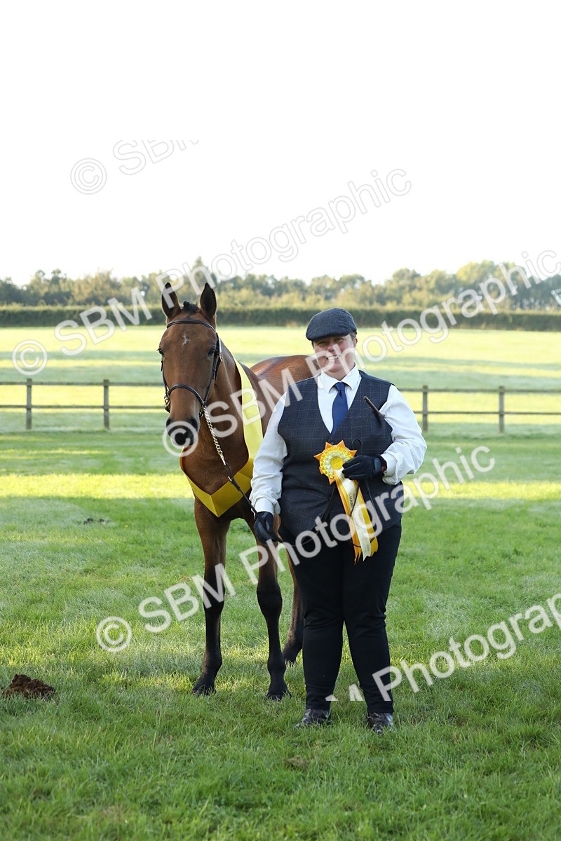 SBM_57865 - S42 - Youngstock