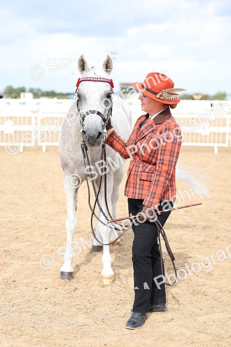 SBM_03952 - Class 25 - IH Foreign Breeds - Pure Bred