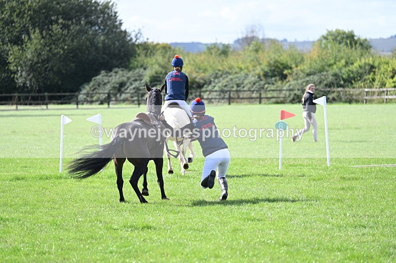 WJ7_8526 - 60cm Pairs