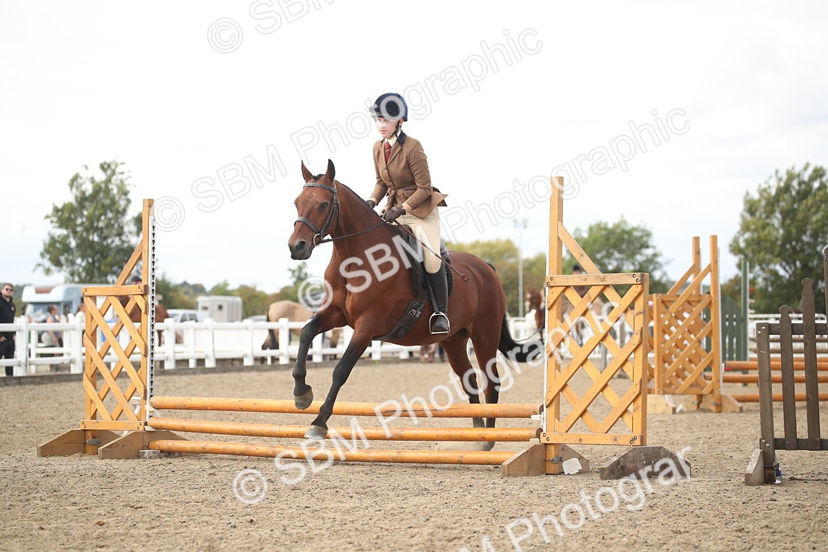 SBM_15291 - Class 506b - Working Veteran - 50cm (20+)