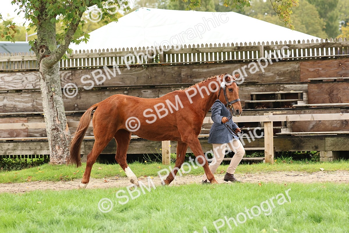 SBM_41710