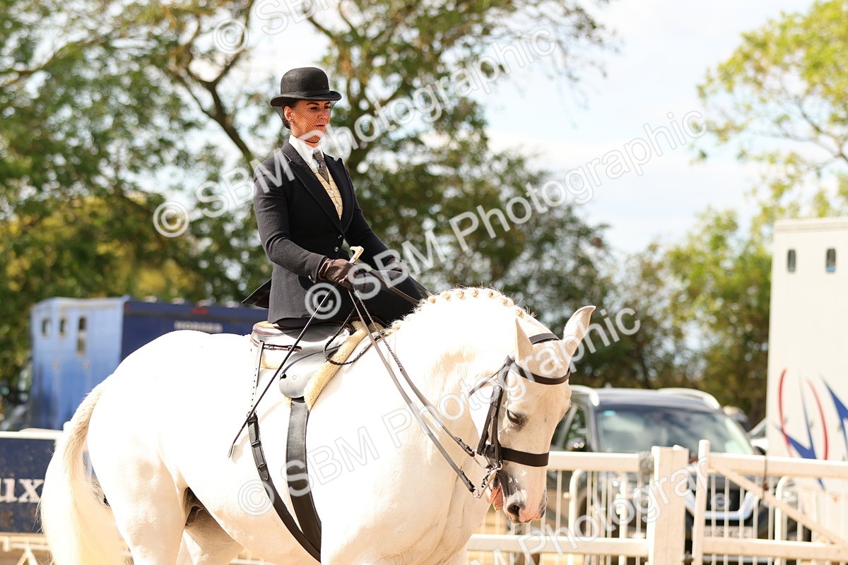SBM_15903 - Class 216 - Best Side Saddle Horse-Pony