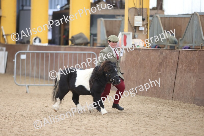 20251109-1226 - Supreme Championship