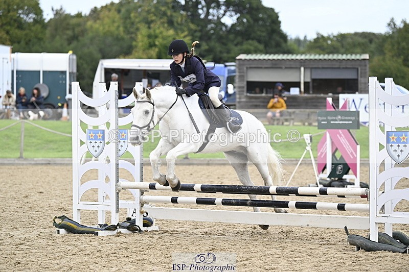 251005A-130504-04039 - Cls 08 Mini 70-75cm