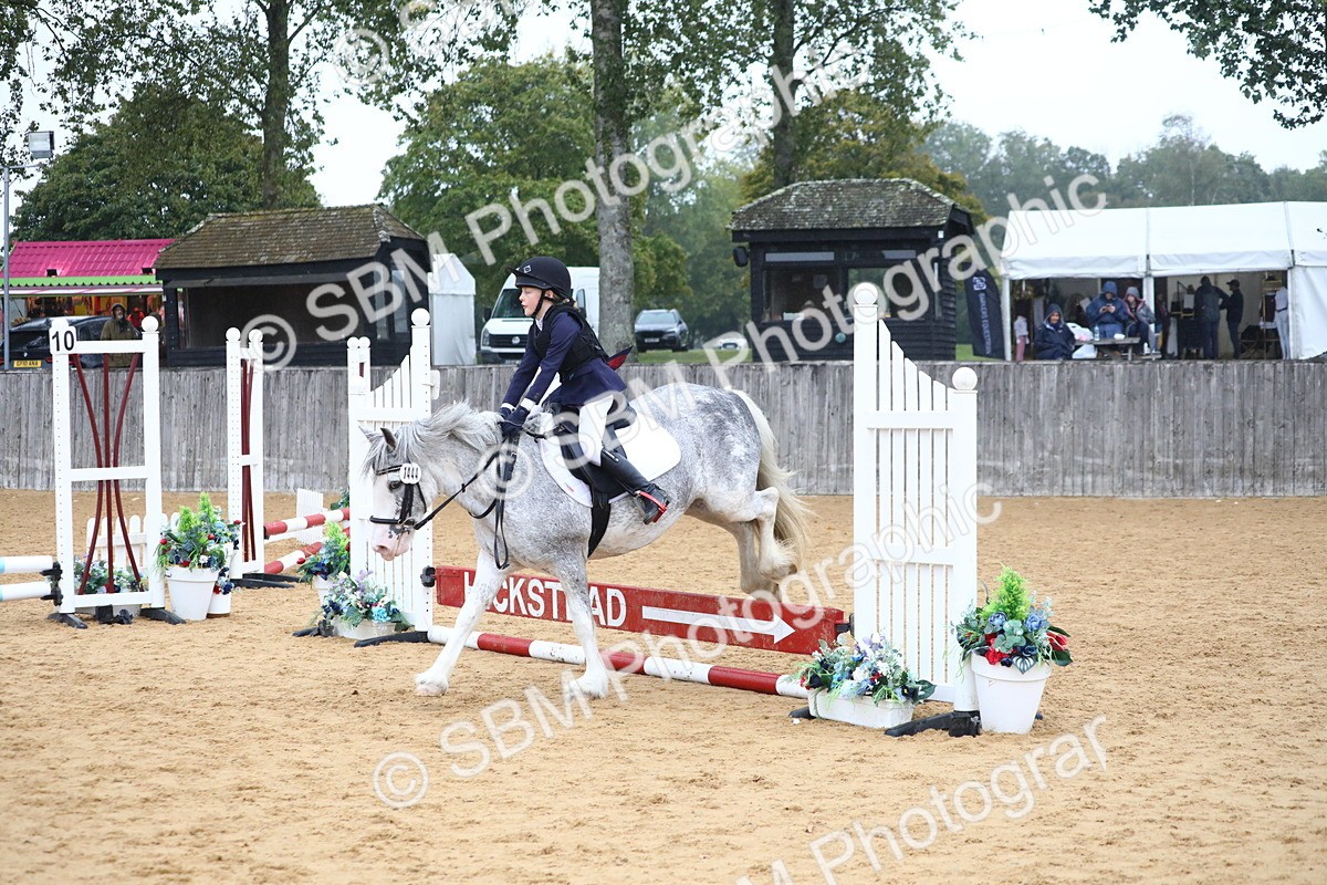 SBM_71701 - J4 - Mini Tour Junior Pony 45cm Championship