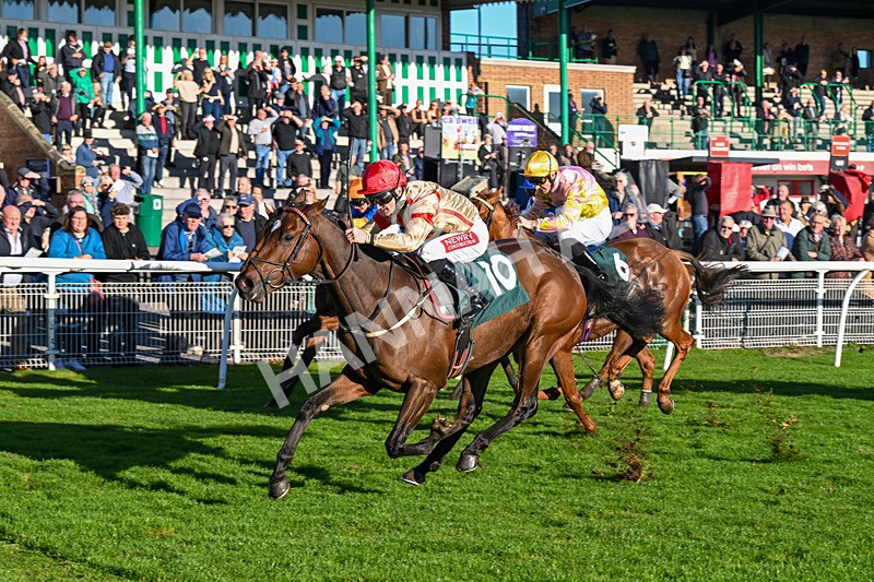 291024-Race 4-Rwenearlytheredad-6064 - Race 4