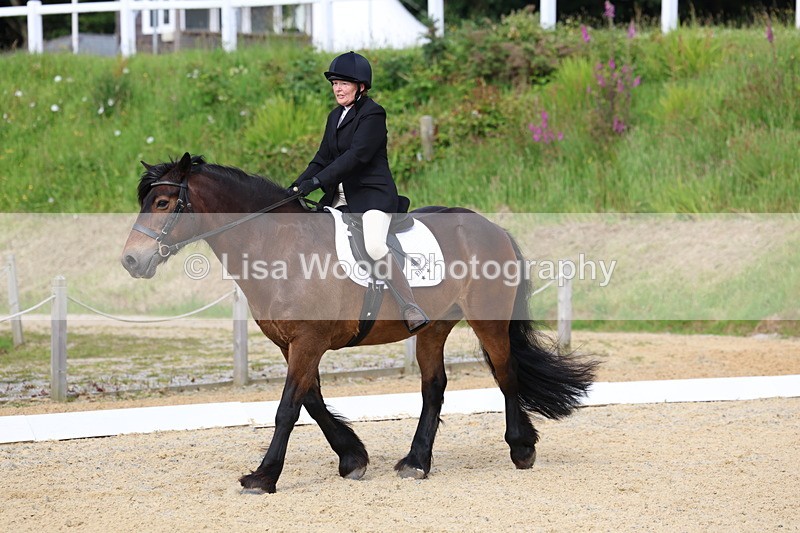 3E7A1411 - Class 2: Intro 2 2024 Section B