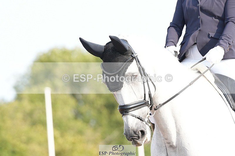 250817-093004-07546 - 122-Stacey.BlunnDiamond.Bobby