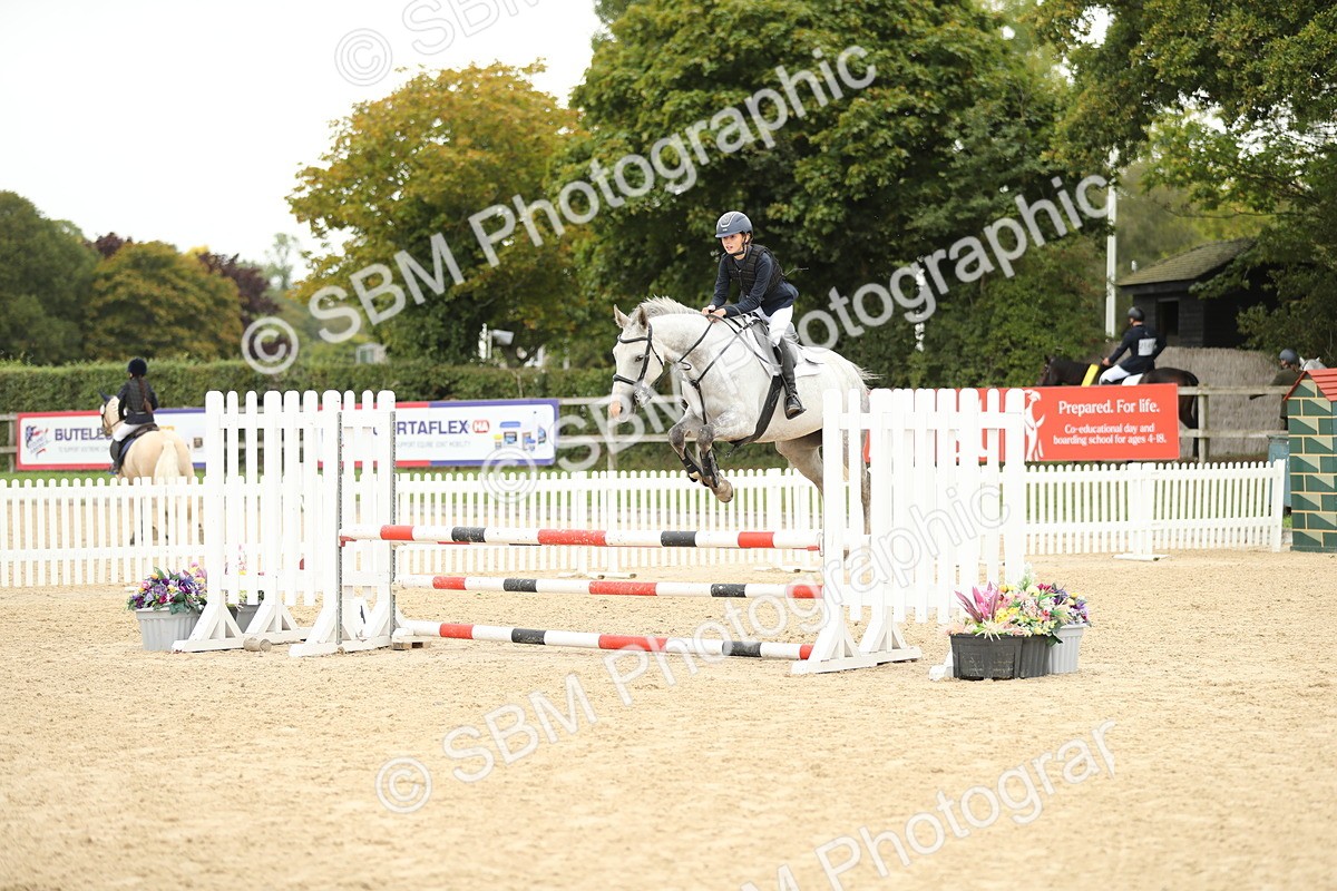 SBM_63129 - Supreme championship 75cm 80cm