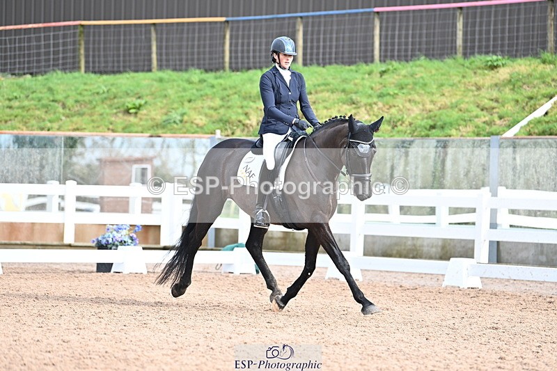 240218A-115713-06925 - 204-Elder.Klatzko-Dynasty.Hit