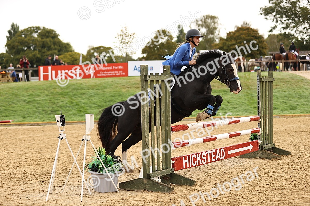 SBM_58255 - J41 - Grand Tour Horse & Pony 95cm
