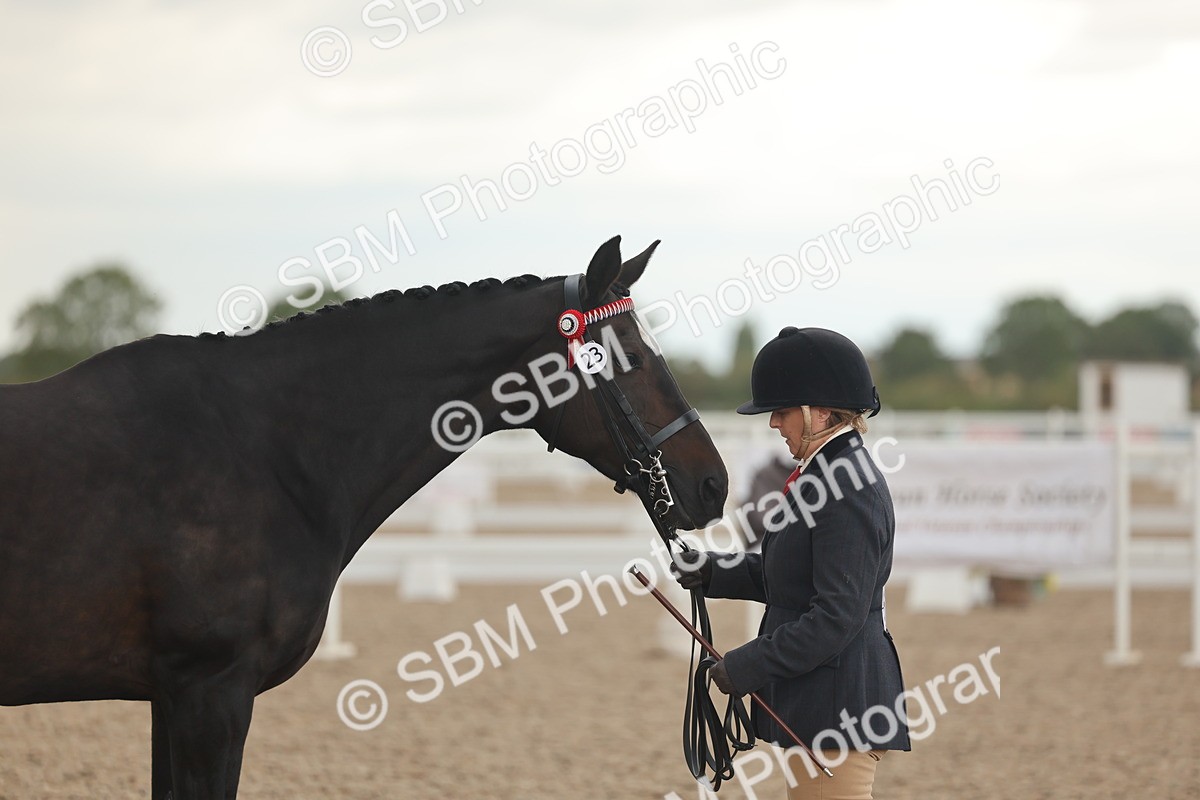 SBM_07667 - Class 26 - IH Foreign Breeds - Part Bred