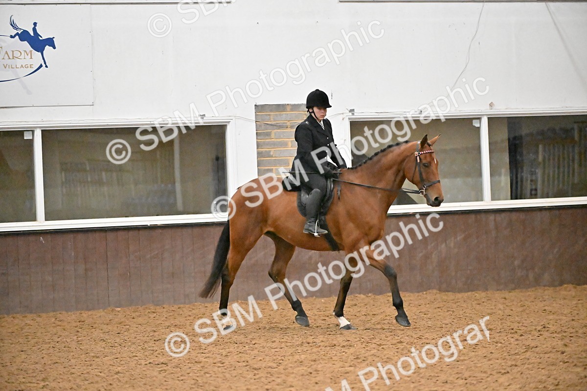 SBM_003000 - Class 37,38 - UKPSAF Performance Horse & Pony