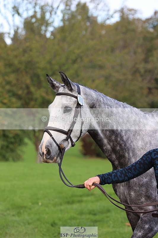 251026A-100104-22668 - D-360-Hannah.Norvill
