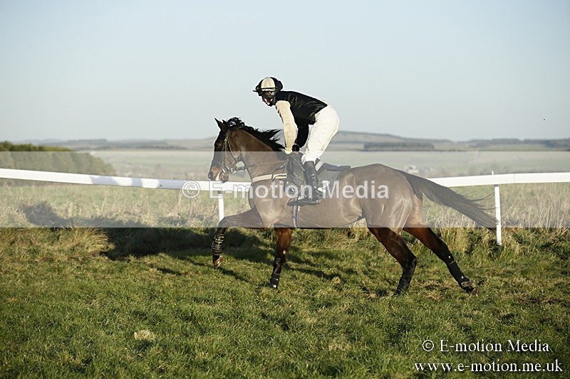 PtP 070118 -677 - Larkhill Racing Club Point to Point Larkhill 07/01/2018