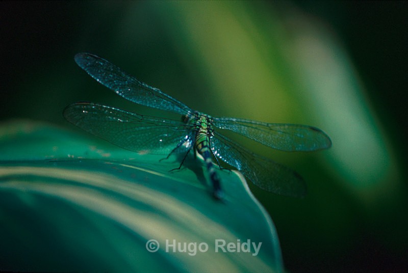  - Some Selected Images