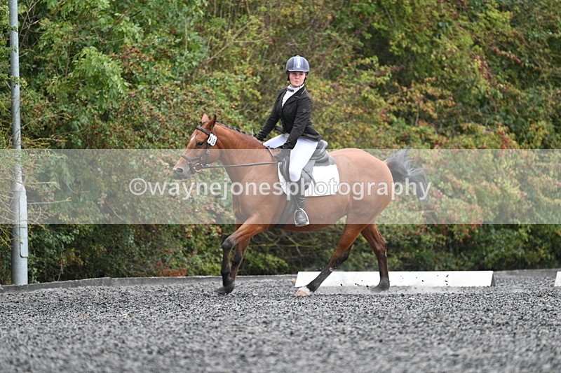 WJ7_3608 - Time 11:04 to 11:38