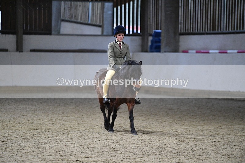 WJ5_8591 - Class 14 Novice Ridden/Rider