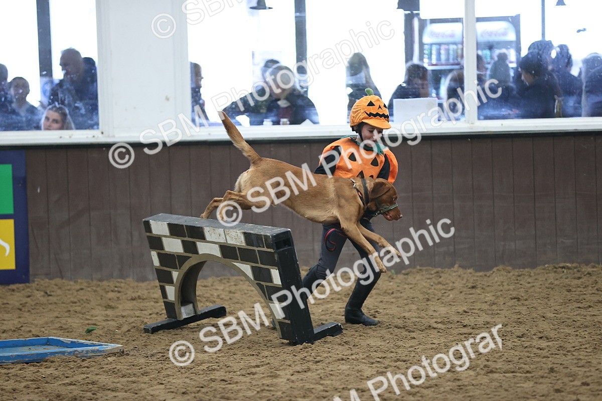 SBM_001373 - Class 3 - Horse & Hound 60cm