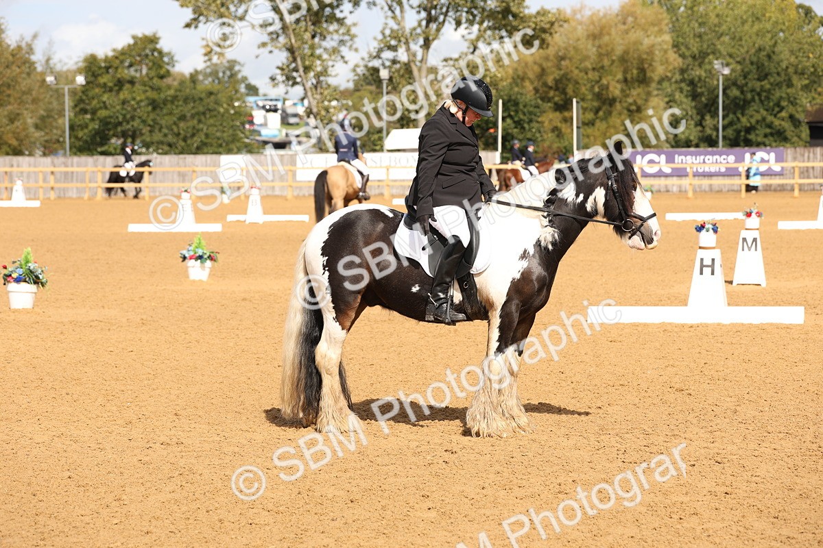 SBM_40696 - D6 - Small Tour Championship Intro 4