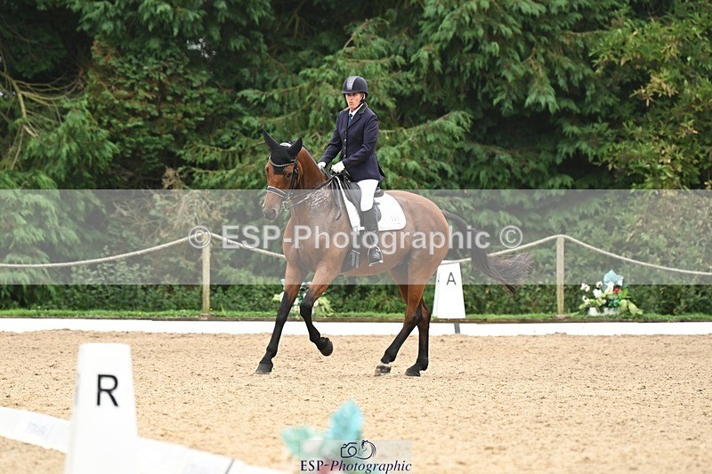 240811-120107-05669 - 241-Kathryn.Little-Quietly.Does.It