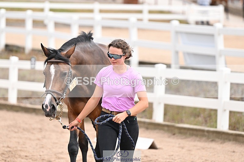 250716-151054-01727 - Trot Up 2.30 to 3.30