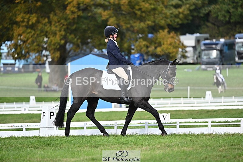 251024A-141200-12352 - D-369-Rosie.Moreton