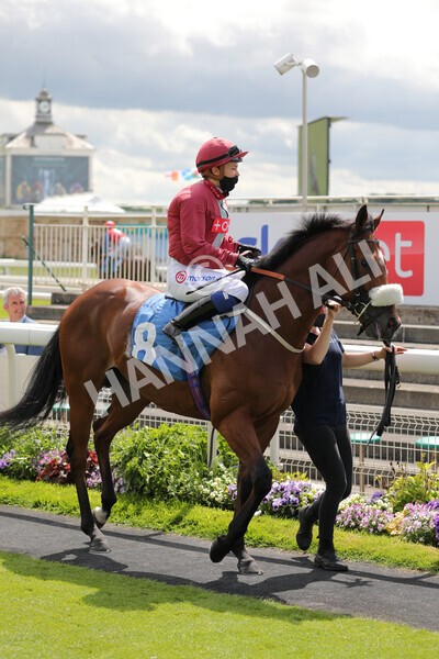 yr11062021r2-11 - Race 2 2.20pm Churchill Tyres Stakes