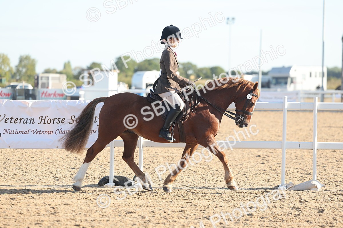 SBM_10972 - Class 302 - Ridden M&M Large Breeds