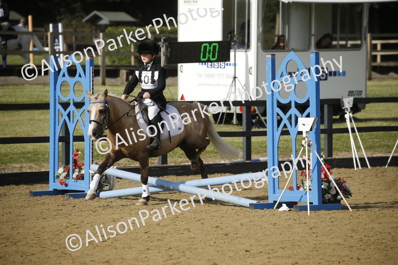 20250622-1191 - 40cm