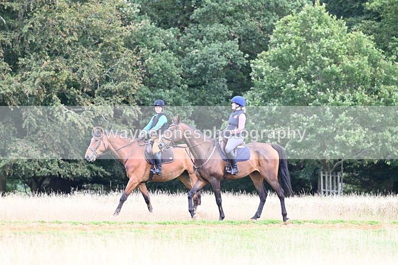 DSC_7837 - Time at Statue 13:16 to 13:52