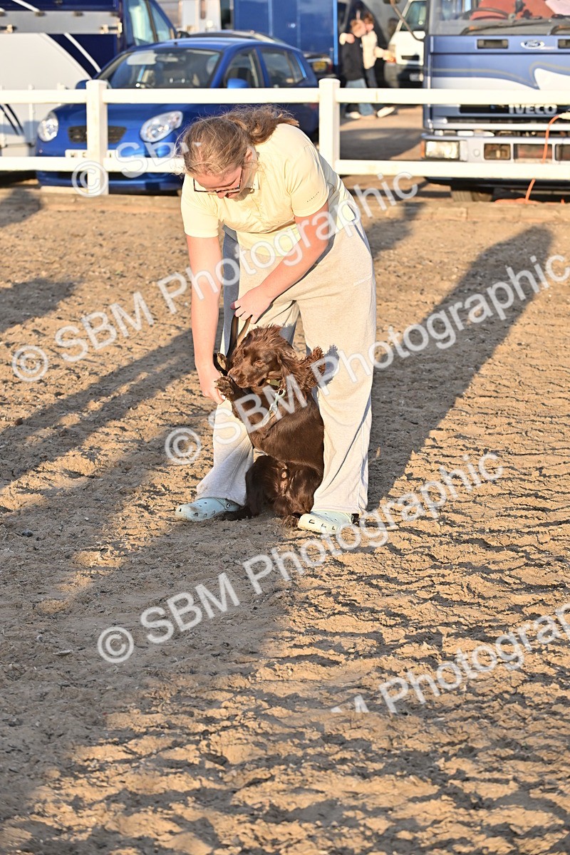 SBM_09664 - Lorry Dogs