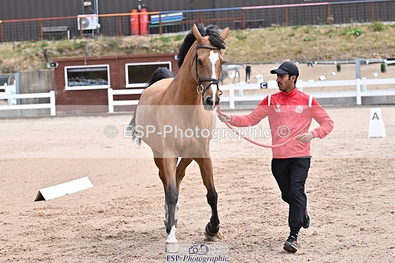 250716-130330-00297 - Trot Up 12.30 to 1.30
