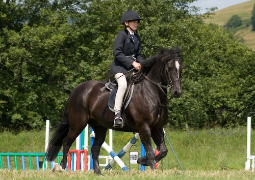 77 - Moniaive Horse Show 2008