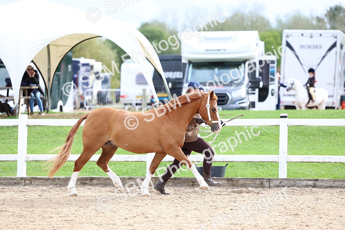 SBM_05832 - Class 29 - IH Veteran Pony