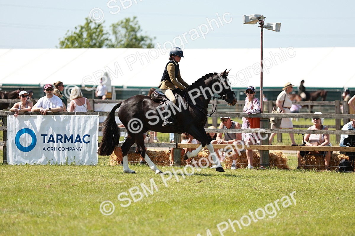 SBM_17605 - Class 112-113 - BSPS LIHS Working Sports Pony