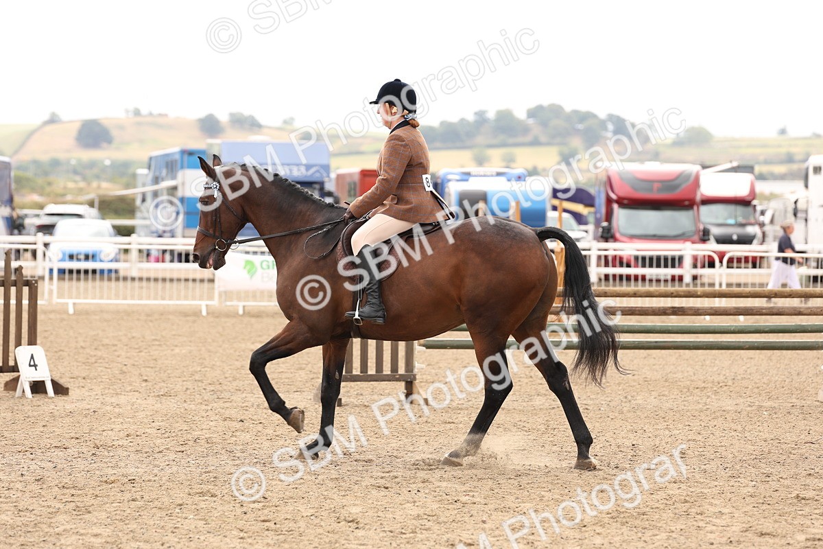 SBM_02865 - Class 53 - Ridden Competition Horse/Pony