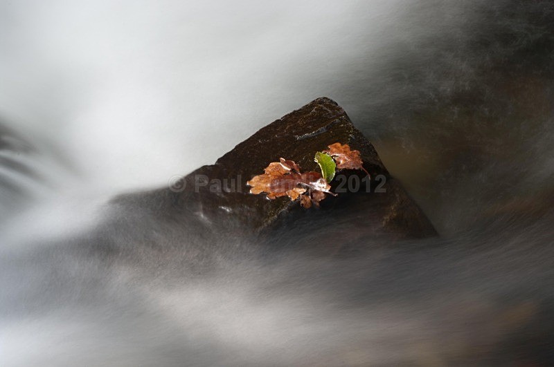 from the Suns Rising 23 of 50 - 'From the Sun's Rising...' Exhibition Prints