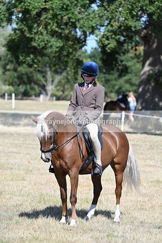 WJ7_4110 - Class 9 Mountain & Moorland Ridden