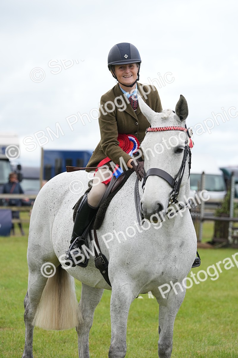 SBM_12856 - Class 97-98 - LIHS BSHA Rising Star Working Show Horse Hunter