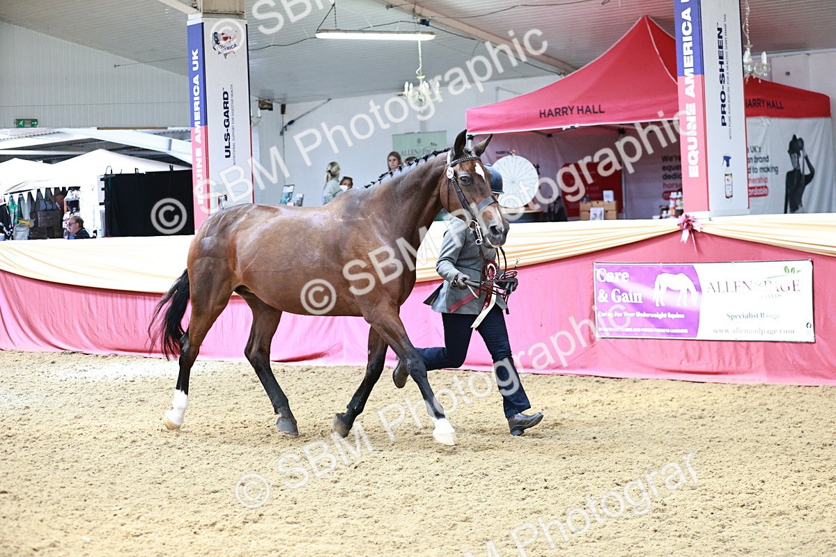 SBM_04901 - Class 7R - Regional IH Diamond