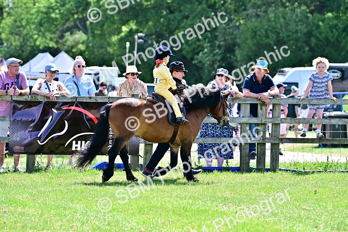 SBM_05779 - Class 59-60 - TSR M&M  Lear Rein and First Ridden Amateur of the year