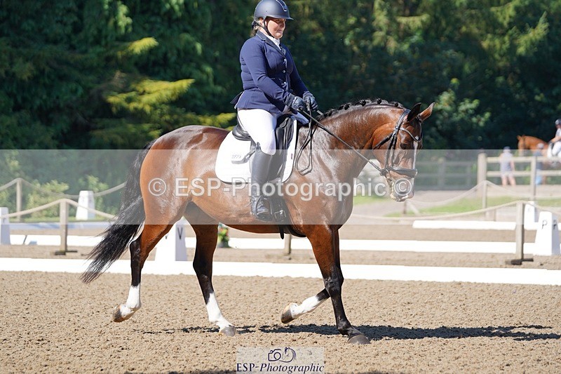 240719-095032-00362 - 271-Lauren_Gage-Creevagh_Miss_Bonnie