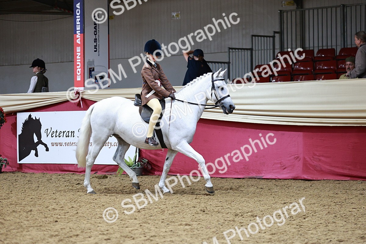 SBM_03086_Class 5a - Area - Ridden Veteran - Vicky Gutteridge