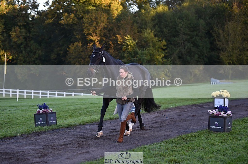 231022-083714-21259 - 657-WATERVALLEY.DIAMOND-Holly.Horton-TrotUp+SJ