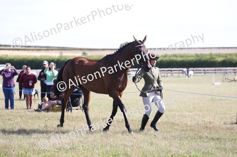 20260906-0707 - Class 22 - Ex Racehorse