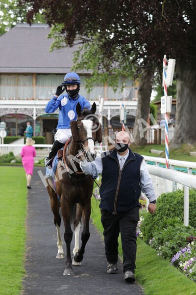 yr11062021r7-21 - Race 7 5.05pm SASH Charity Stakes